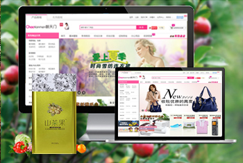 ����������̳�